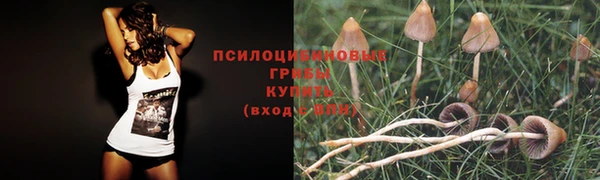каннабис Киренск