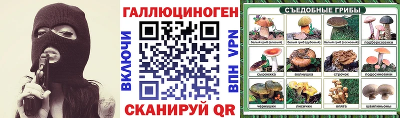 Купить где  Белово  Галлюциногенные грибы GOLDEN TEACHER 